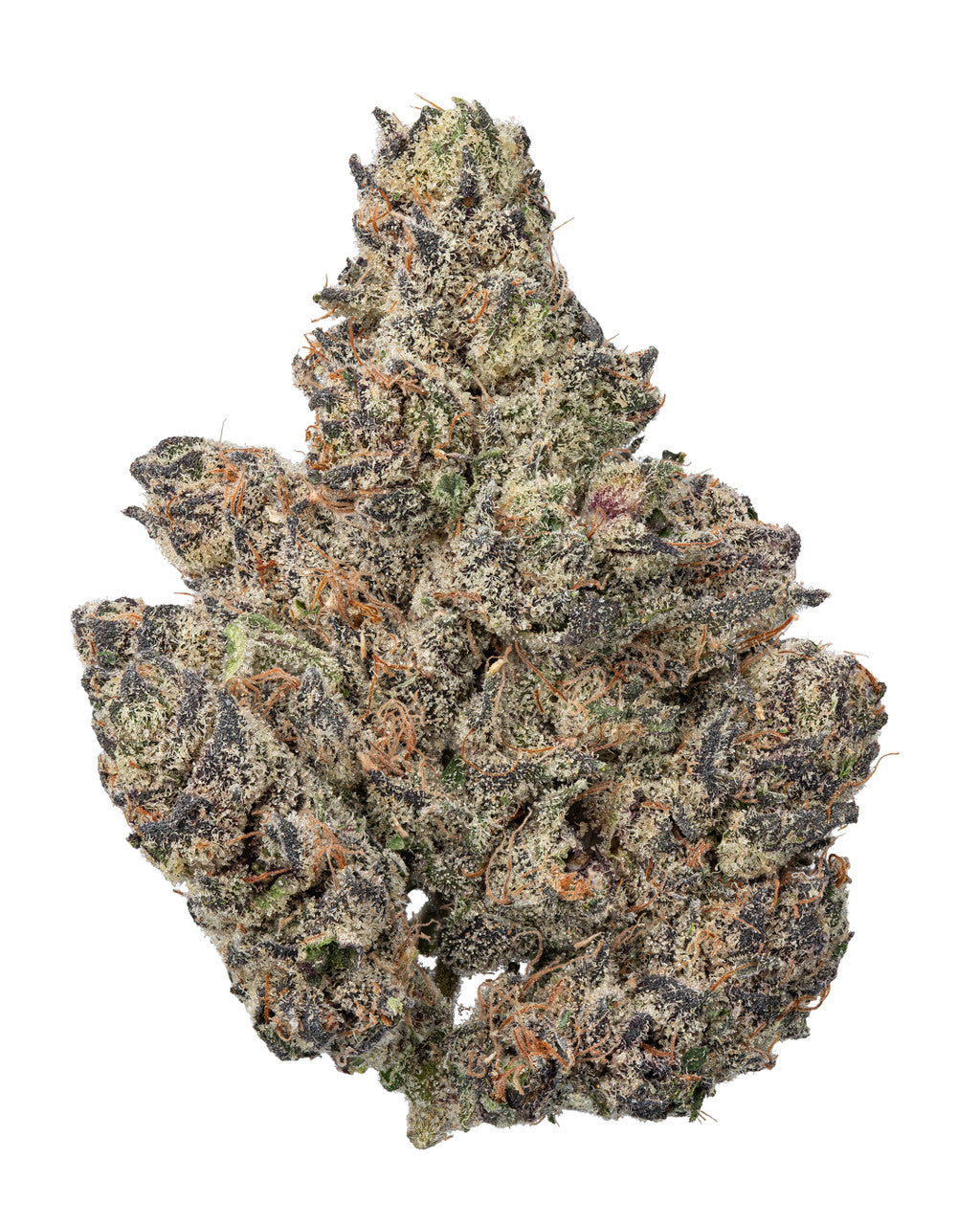 Supernova Hybrid - Indica