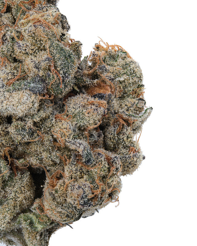 Supreme Gelato Hybrid-Indica