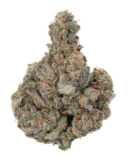 Supreme Gelato Hybrid-Indica