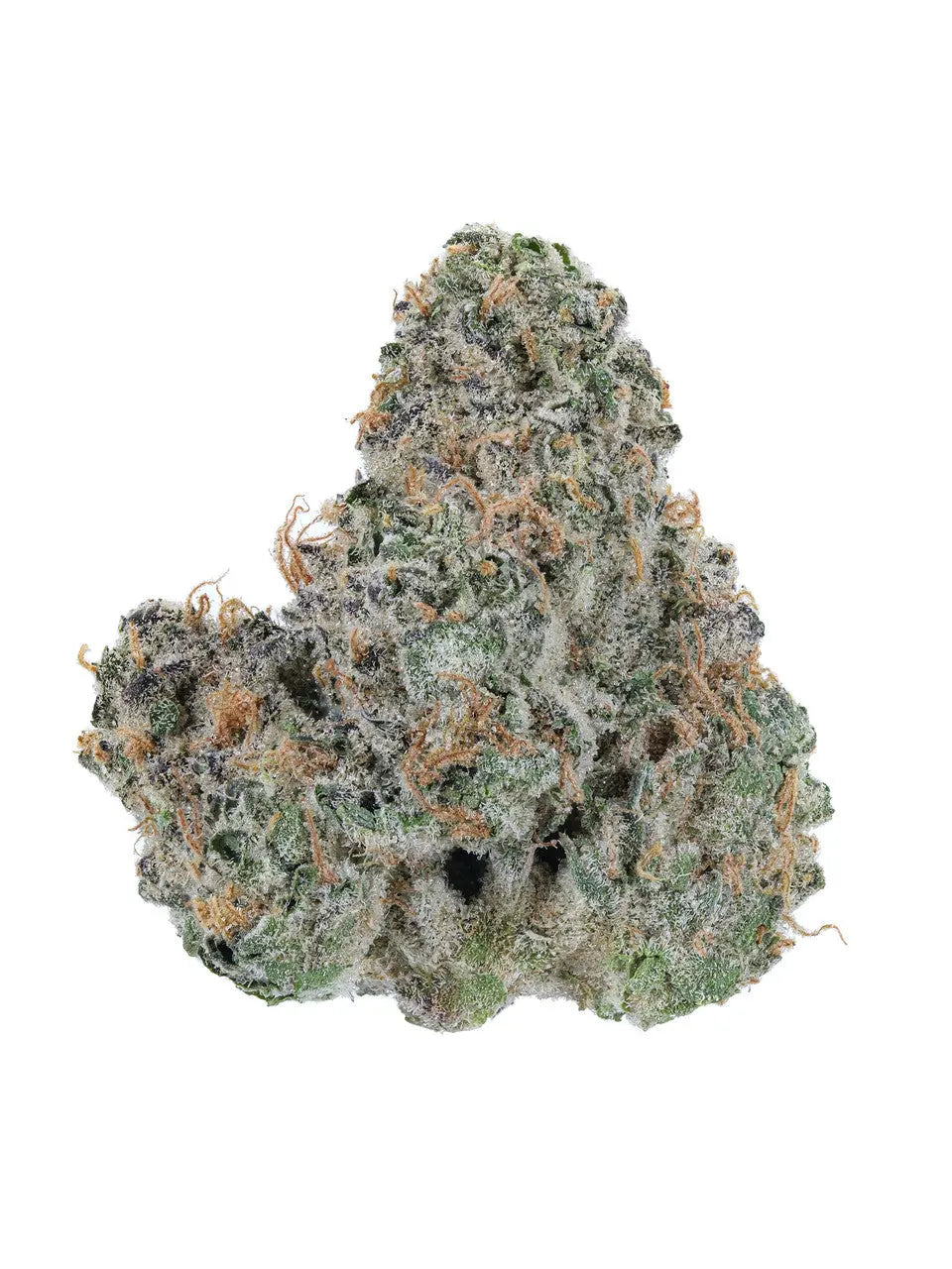 THCa Tangerine Dream Indoor Living Soil Siesta G