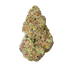 Premium Flower Upsidedown Runtz Indica Alien Forces LLC Siesta G Dispensary