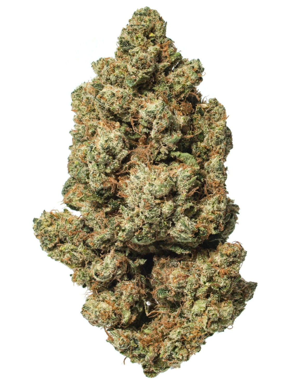 Premium Flower Venom OG Hybrid Siesta G  Siesta G Dispensary
