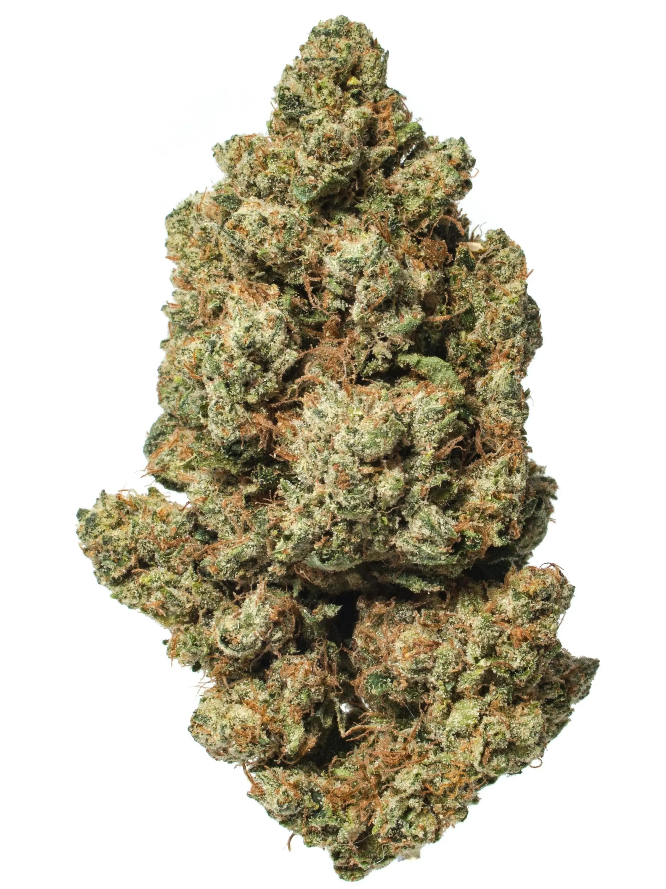 Premium Flower Venom OG Hybrid Siesta G  Siesta G Dispensary