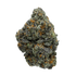 Premium Flower White Bugatti Indica Alien Forces LLC Siesta G Dispensary