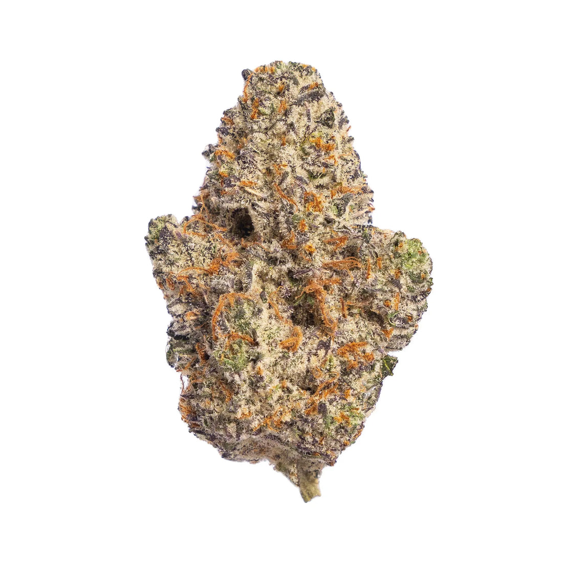 White Chocolate Chip Hybrid Siesta G  Siesta G Dispensary