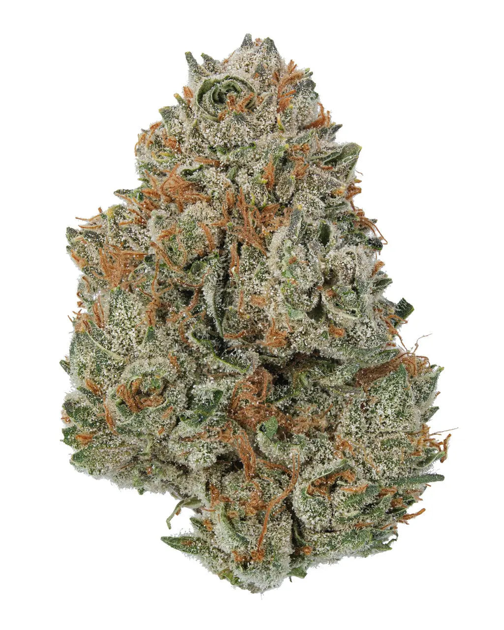 Premium Flower White Funk Hybrid KCMMM LLC Siesta G Dispensary