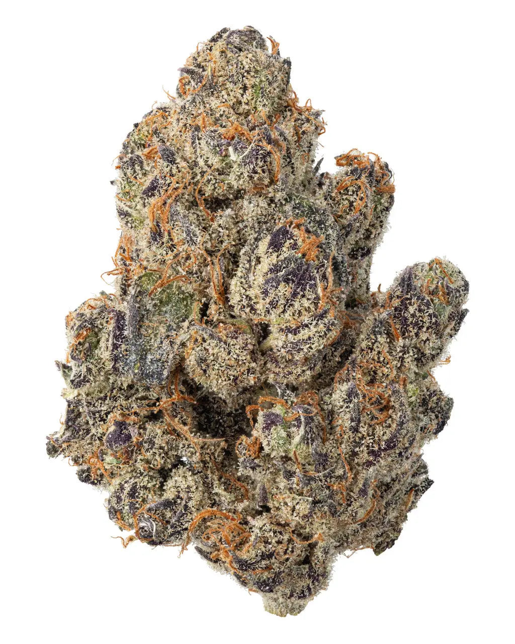Premium Flower White Gushers Hybrid Siesta G Siesta G Dispensary