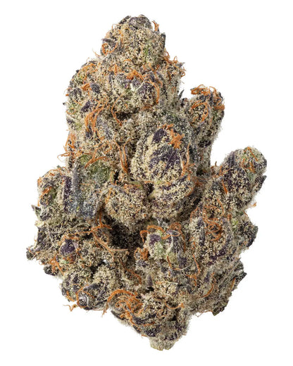 Premium Flower White Gushers Hybrid Siesta G Siesta G Dispensary