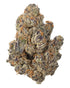 Premium Flower White Gushers Hybrid Siesta G Siesta G Dispensary