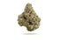 Premium Flower XJ-13 Hybrid Siesta G  Siesta G Dispensary