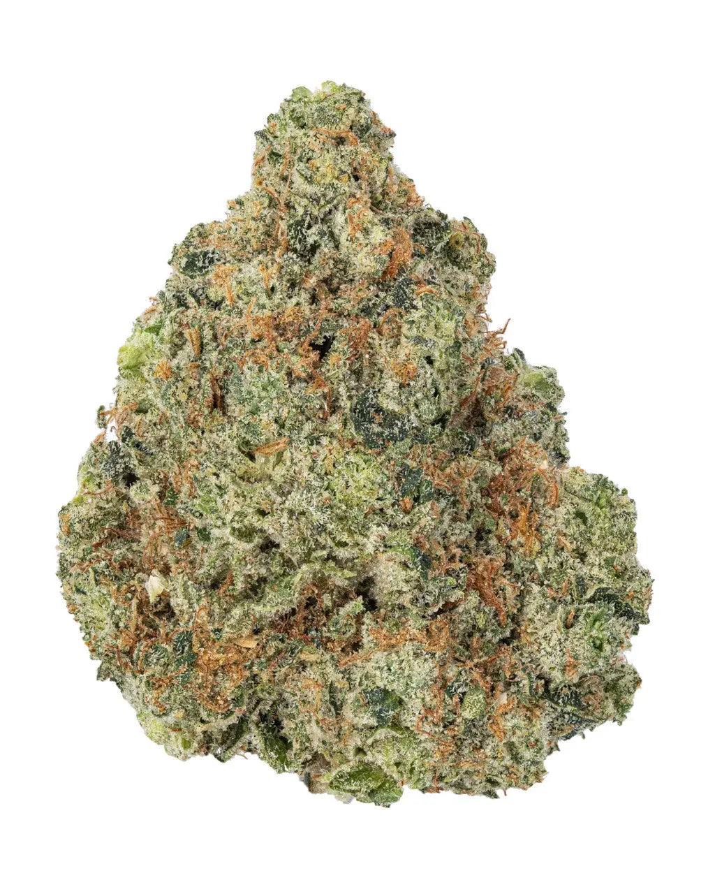 Premium Flower Zativa Sativa Siesta G  Siesta G Dispensary