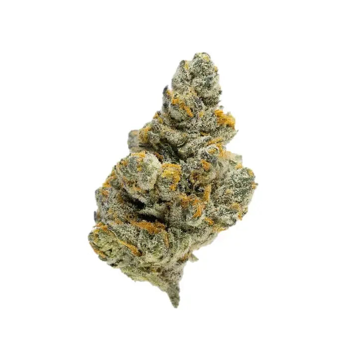Premium Flower Zaza Indica Alternative Health Distributioin Siesta G Dispensary