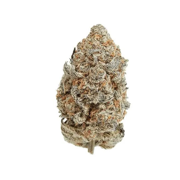 Premium Flower Zkittles Alternative Health Distributioin Siesta G Dispensary